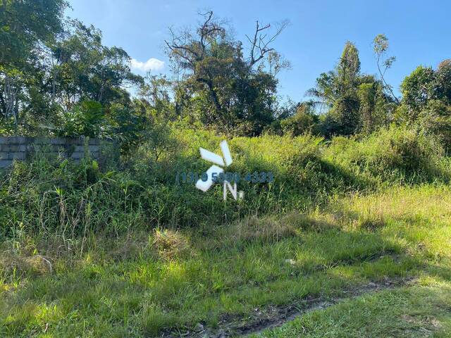 #58345198 - Área para Venda em Peruíbe - SP